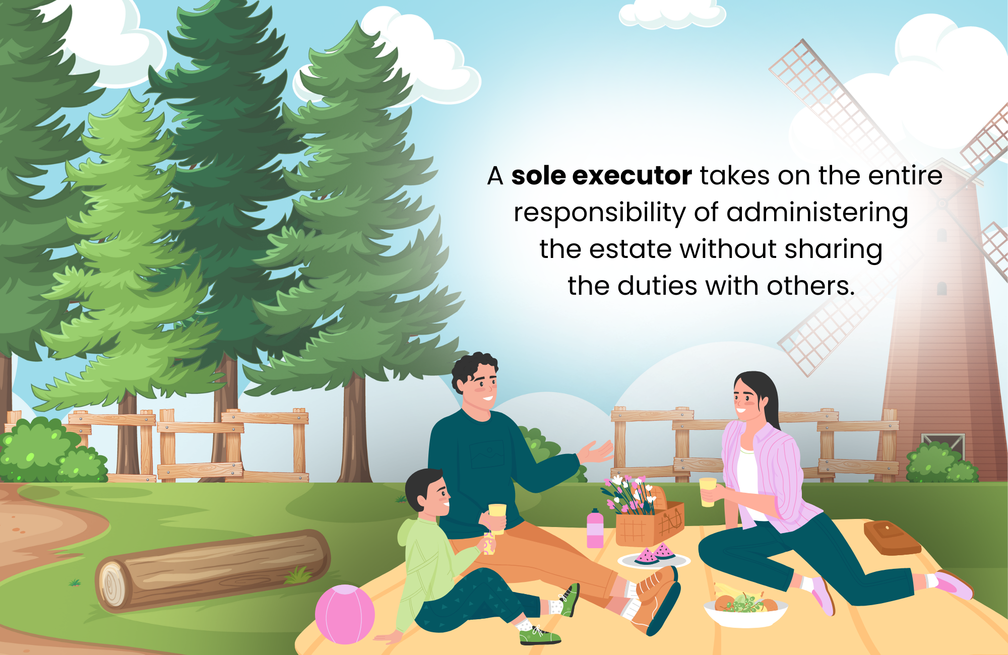 What Is the Role of a Sole Executor?