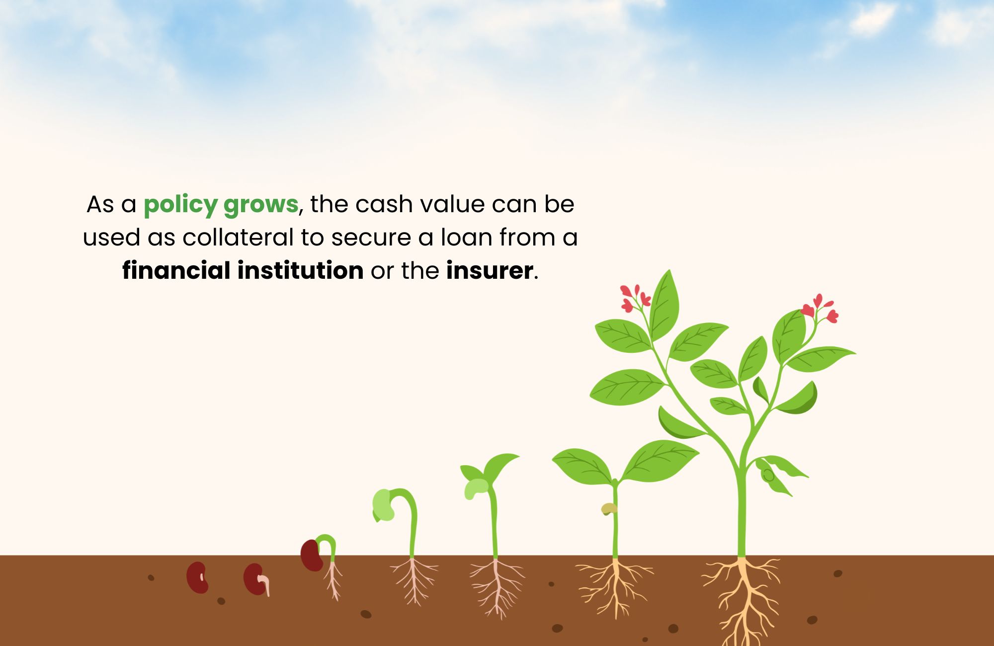 How does borrowing against life insurance work?